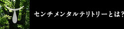 センチメンタルテリトリーとは