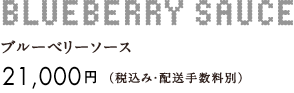 �u���[�x���[�\�[�X 21,000�~�i�ō��݁E�z���萔���ʁj