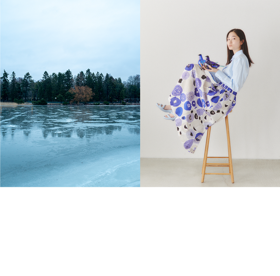 「フィンランドの光」トップページへ