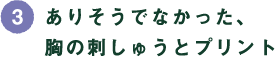 (3)ありそうでなかった、胸の刺しゅうとプリント (3)ありそうでなかった、胸の刺しゅうとプリント