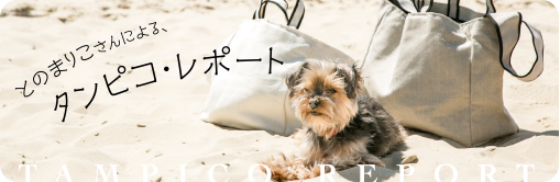 とのまりこさんによる、タンピコ・レポート