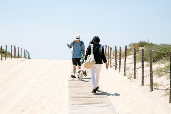 ▲秘密の海岸へと続く白い砂の道