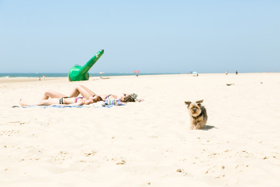 ▲どこまでも続くふかふかの白い砂と青い空と海、きもちい～！！