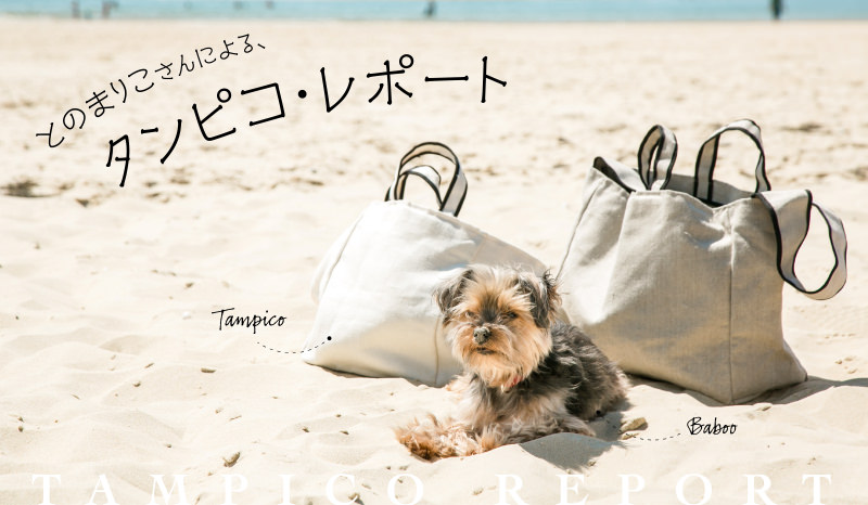 とのまりこさんによる、タンピコレポート