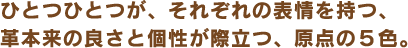 ひとつひとつが、それぞれの表情を持つ、革本来の良さと個性が際立つ、原点の5色。 ひとつひとつが、それぞれの表情を持つ、革本来の良さと個性が際立つ、原点の5色。