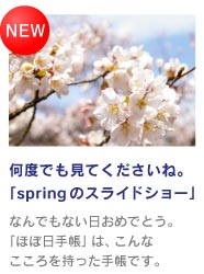 ���x�ł����Ă��������ˁB �uspring�̃X���C�h�V���[�v