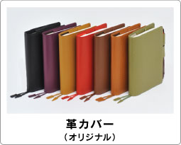 �v�J�o�[�i�I���W�i���j