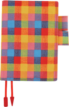 *�i�L�����f�B�E�`�F�b�N�ʐ^�j*