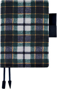 �i�A�C�r�[�E�^�[�^���ʐ^�j