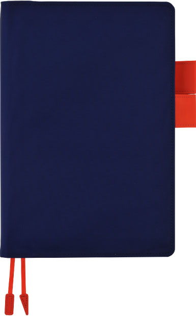 �l�C�r�[�u���[�~�I�����W���b�h�ʐ^