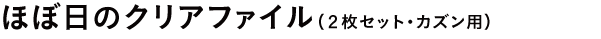 ほぼ日のクリアファイル（２枚セット・カズン用）