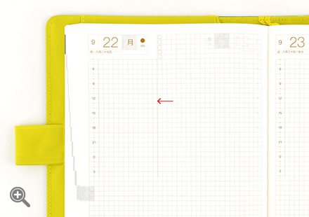 秘密の縦ライン