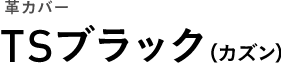 革カバー TSブラック（カズン）