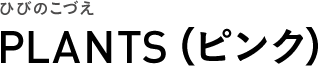 ひびのこづえ PLANTS（ピンク）