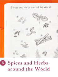 Spices and Herbs around the World