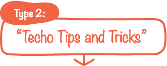 Type 2:&ldquo;Techo Tips and Tricks&rdquo;