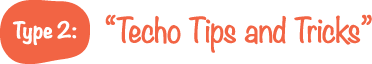 Type 2:&ldquo;Techo Tips and Tricks&rdquo;