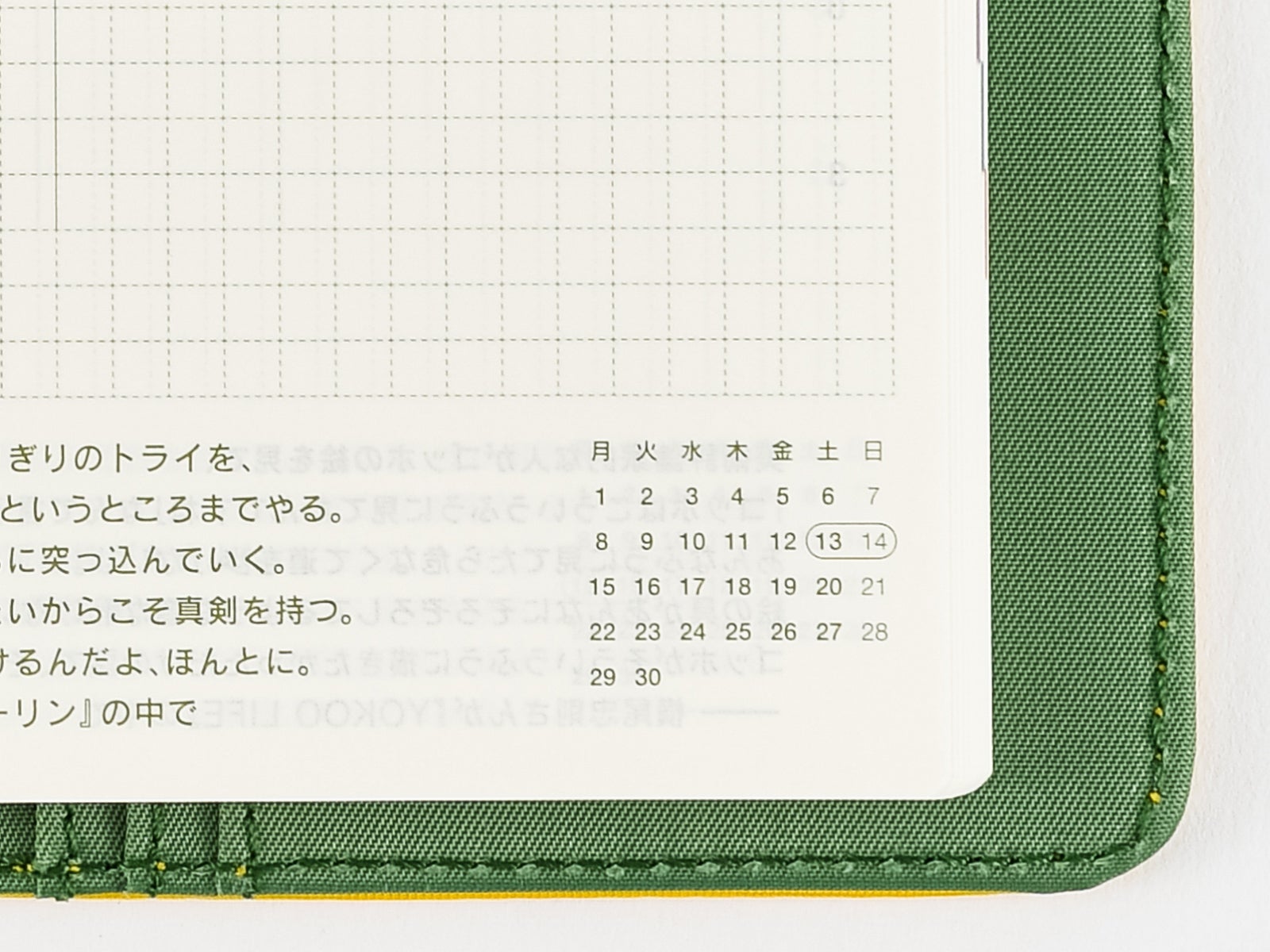 Original / Daily Pages - Book Buying Guide - Hobonichi Techo 2020