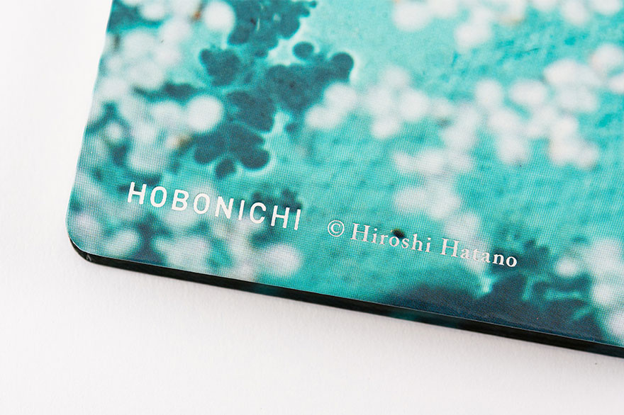 Hobonichi 2021 Hiroshi Hatano Spring Day Weeks Hardcover Book Japanese 
