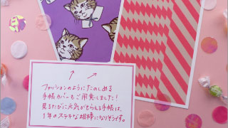 Candy Stripper / SPRUCED UP CAT（CANDY PINK） - 手帳ラインナップ 