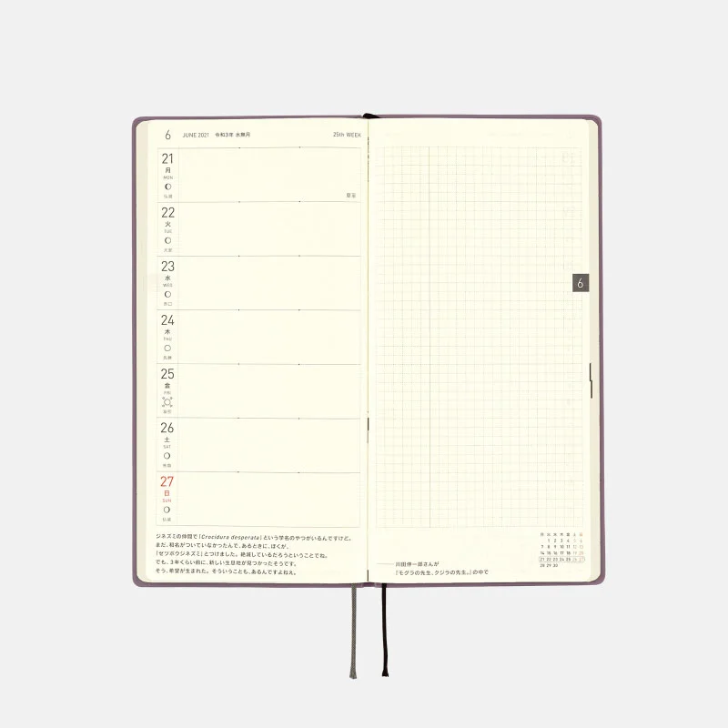 rannmaページ Ranma 1/2 / 1/2 Weeks Book (Japanese) - Hobonichi Techo 2021