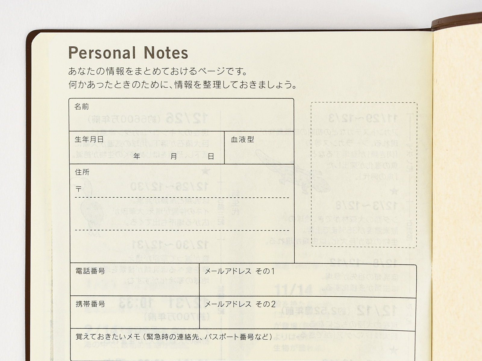 5 Year Techo Summary Hobonichi Techo Book Buying Guide