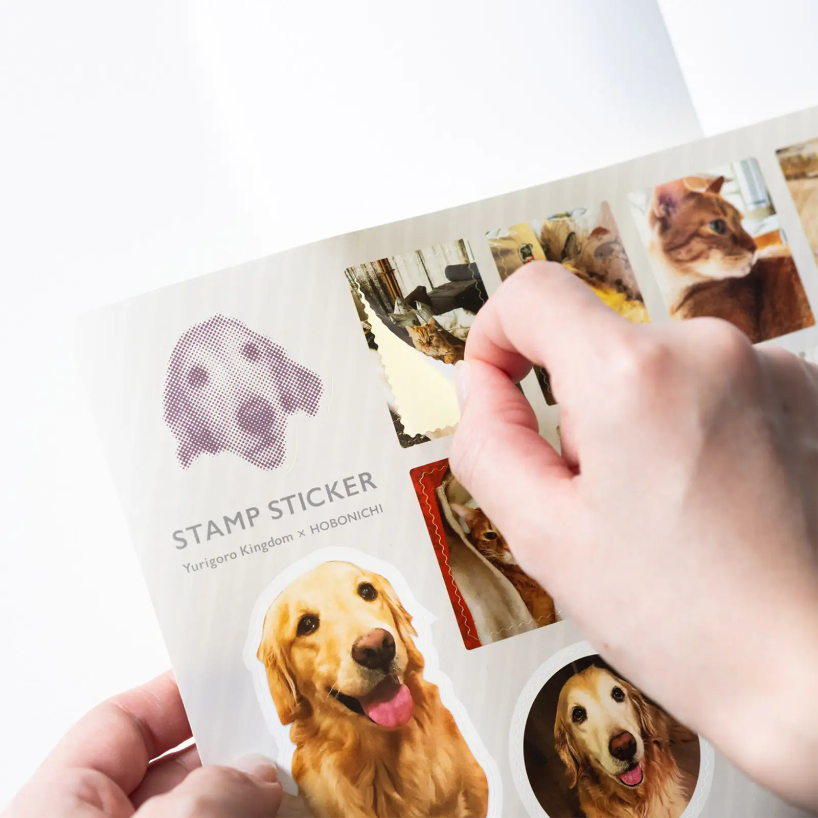 石田ゆり子さんコラボ 雪ポーチとノート　セット 石田ゆり子さんが一緒に暮らすものたち オンラインのお店 - ほぼ