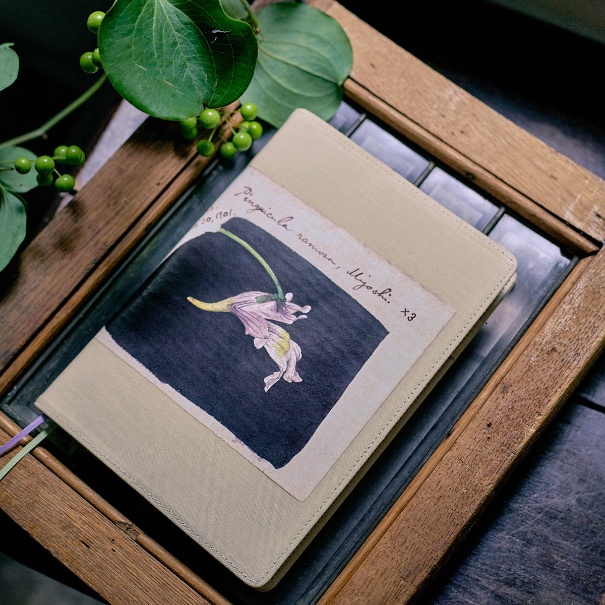 牧野富太郎 / コウシンソウ ［カズンサイズ（A5）］ - 手帳