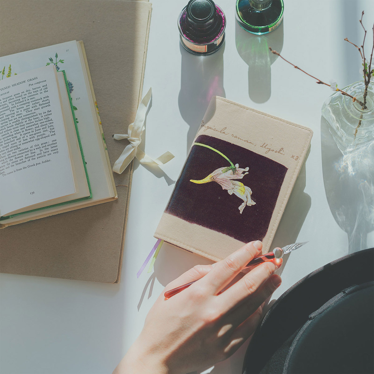 Tomitaro Makino: Koshinso A6 Original Size - Techo Lineup