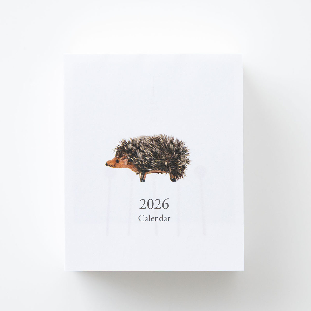 佐藤健　2014年ほぼ日めくりカレンダー 佐藤健◼️日めくりカレンダー◼️2014◼️おまけつけます