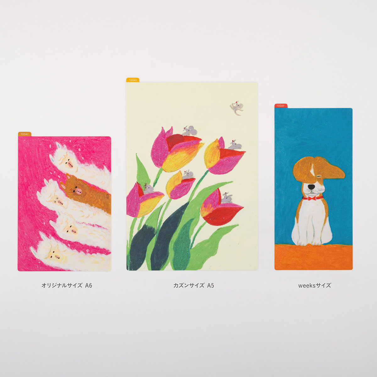 オーダーメイド柴さんページ 和歌山】薪谷 利則(しんたに としのり)ブリーダー｜みんなのブリーダー