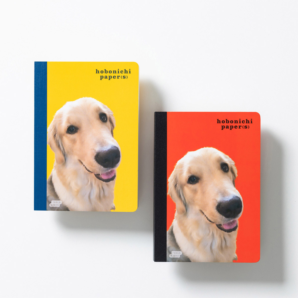 石田ゆり子さんがいっしょに暮らすものたち / Yurigoro Kingdom