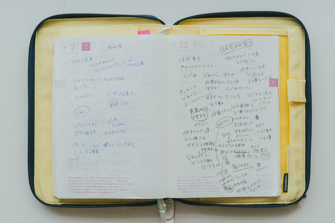 Using the Hobonichi Techo for job interviews How It’s Used