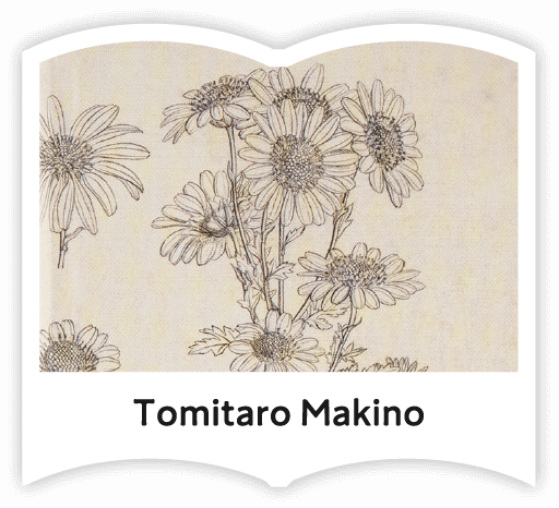 Tomitaro Makino