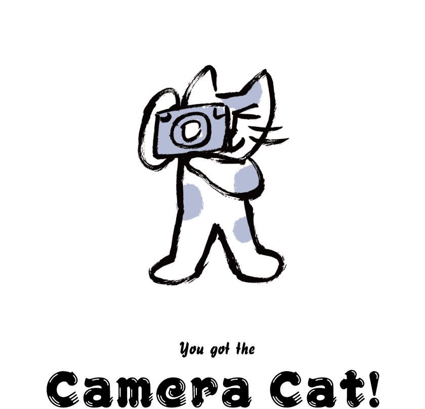 Camera Cat