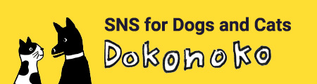 SNS for Dogs and Cats Dokonoko