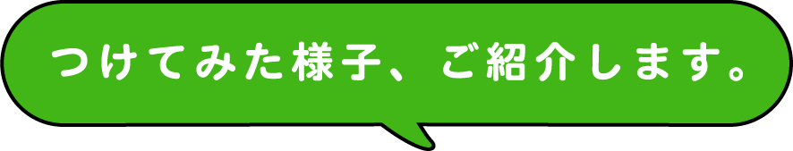 つけてみた様子、ご紹介します。