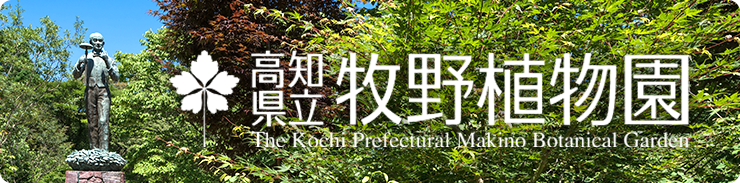 高知県立牧野植物園