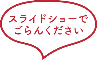 スライドショーでごらんください