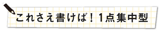 これさえ書けば！ １点集中型