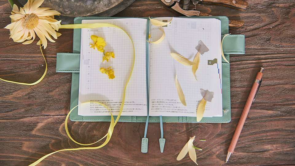 ピオーネページ ▷ りん ページ りんページ 15 ZX-14R OE、燃調 Before/After: ヘタレ