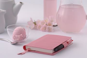 いろいろないろページ ほぼ日刊イトイ新聞 - ほぼ日ストア。