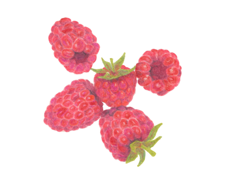 マカロンアイス　フランボワーズ