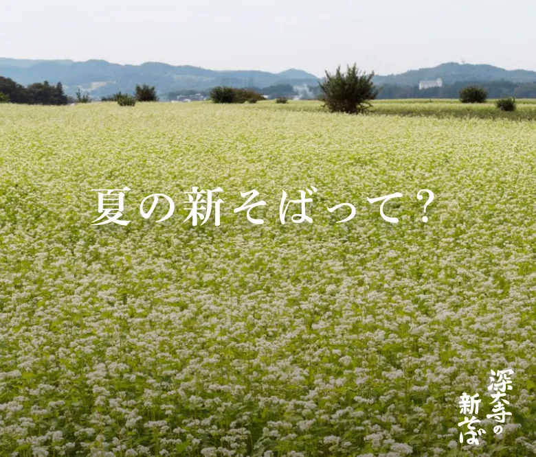 夏の新そばって？