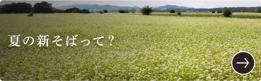 夏の新そばって?