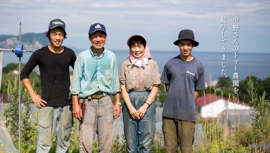 中野さんのトマト農園を見学してきました。