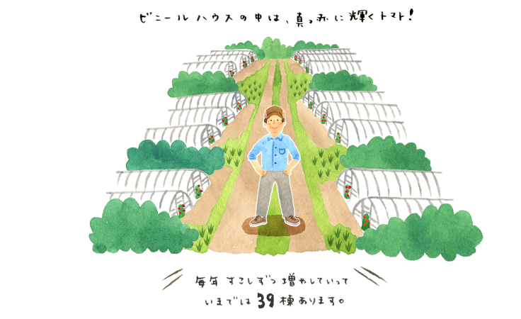 
		ビニールハウスのなかは、真っ赤に輝くトマト！
		「毎年すこしずつ増やしていって、
		いまでは39棟あります」
		（中野さん）