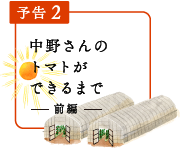 予告2／中野さんのトマトができるまで。前編