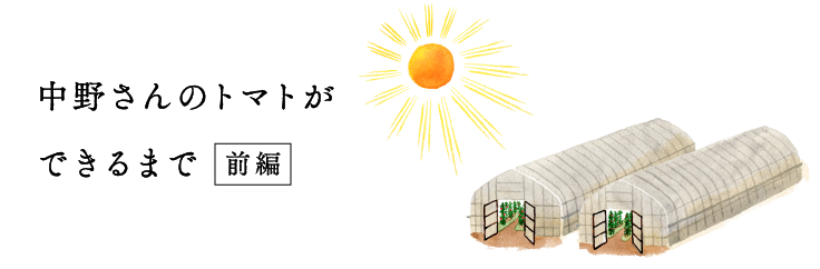 
			【よこく２】
			中野さんのトマトができるまで（前編）