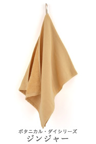 ���������o�i�i�P�[�L